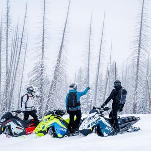 Image post by @polarissnow on Instagram