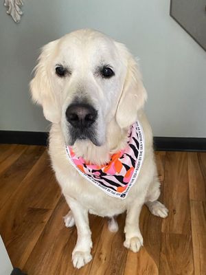 Image post by @shop_buddybythesea on Instagram