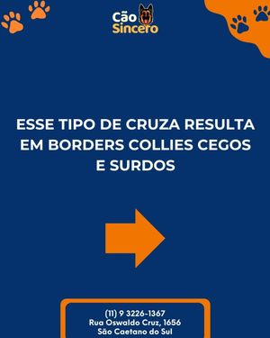 Image post by @adestradores.caosincero on Instagram