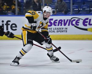Image post by @wbspenguins on Instagram
