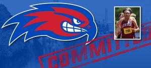 Image post by @RiverHawkXCTF on Twitter