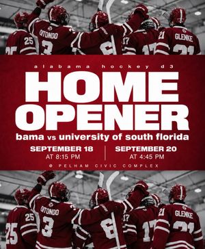 Image post by @alabamahockeyd3 on Instagram