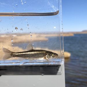 Image post by @usfws on Instagram