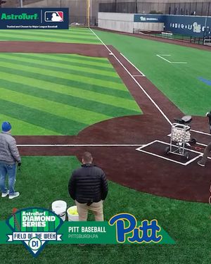 Image post by @d1baseball on Instagram