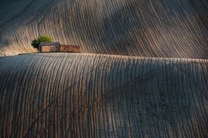 Image post by @lucagiustozzi on Instagram