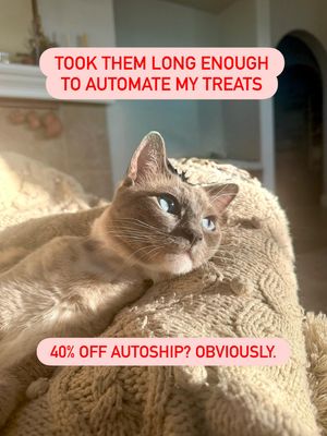 Image post by @petsmart on Instagram