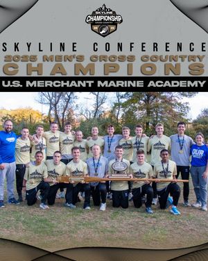Image post by @skylineconfd3 on Instagram