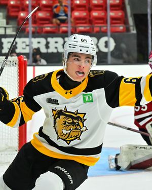 Image post by @bulldogsohl on Instagram