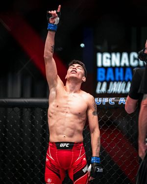 Image post by @ufc on Instagram