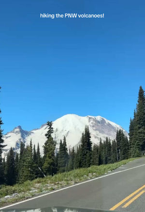 Video post by @allisonhollandmedia on TikTok