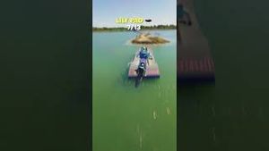 Video post by @redbullusa on YouTube