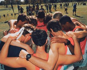 Image post by @pepperdinewaves on Instagram