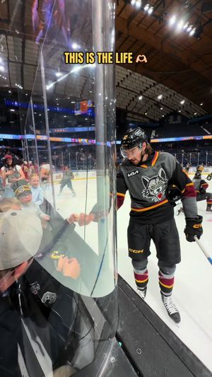 Video post by @chiwolves on TikTok