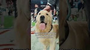 Video post by @cfbplayoff on YouTube
