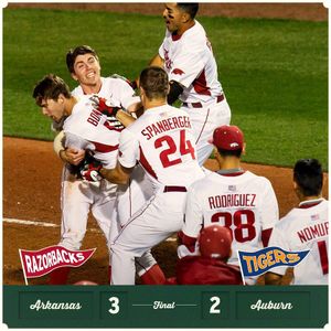 Image post by @razorbackbsb on Instagram