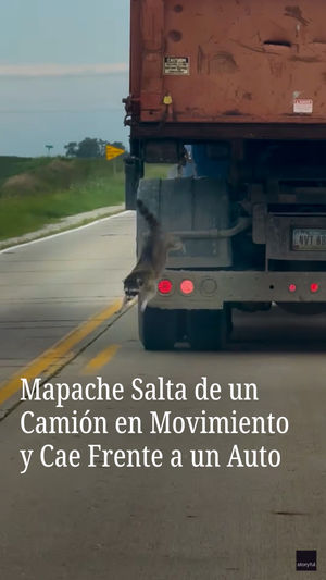 Image post by @nmasunivision on Instagram