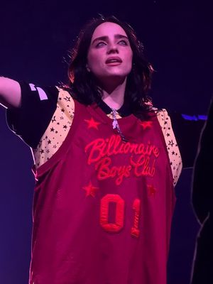 Image post by @billieeilishtours on Instagram