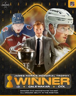 Image post by @puckreportnhl on Instagram
