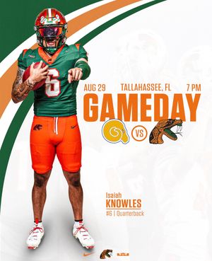 Image post by @famufb on Instagram