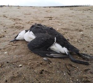 Image post by @rspb on Instagram