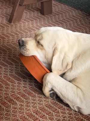 Image post by @shop_buddybythesea on Instagram