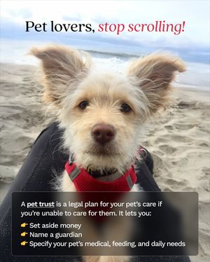 Image post by @legalzoom on Instagram