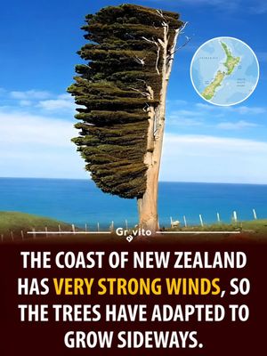 Image post by @gravitonomy on Instagram