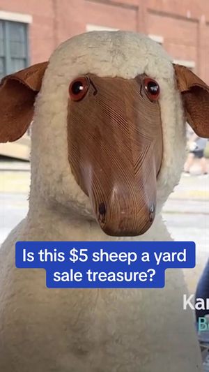 Video post by @roadshowpbs on TikTok