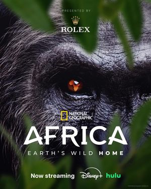 Image post by @natgeotv on Instagram