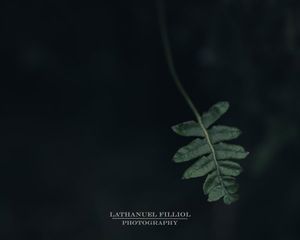 Image post by @Lathanuel Filliol Photography on Facebook