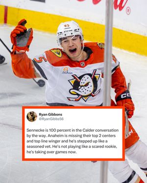 Image post by @hockeytrolls on Instagram
