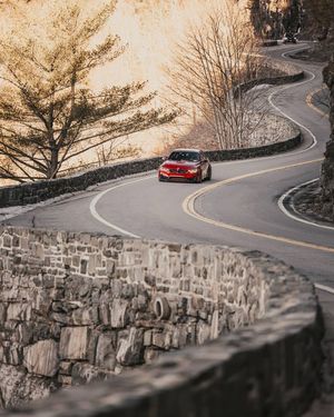 Image post by @mo_steve on Instagram