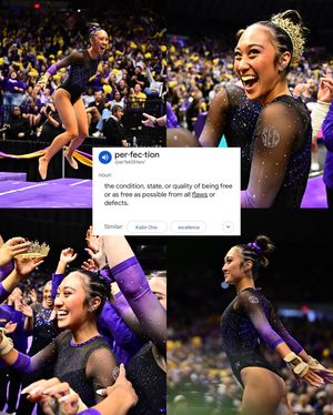 Image post by @lsugym on Instagram