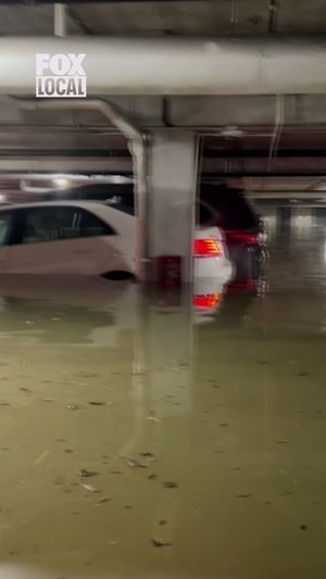 Video post by @fox6now on Instagram