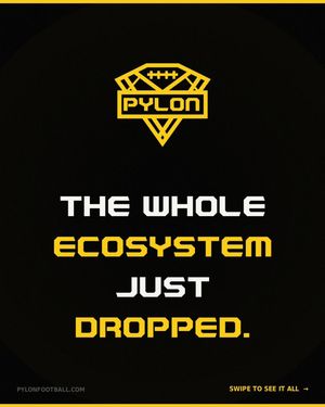 Image post by @pylon7on7 on Instagram