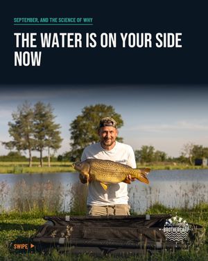 Image post by @brothercarp on Instagram