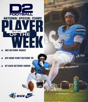 Image post by @augiefb on Instagram