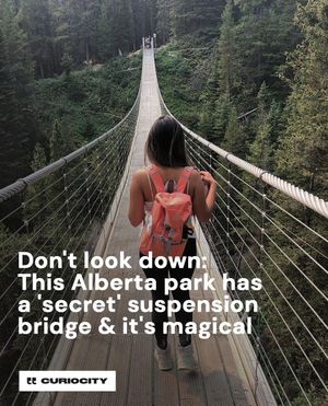 Image post by @curiocitycalgary on Instagram