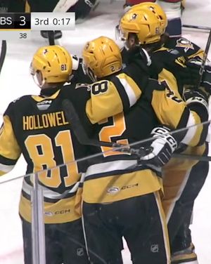 Video post by @flohockeytv on TikTok
