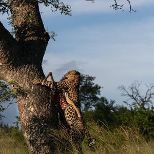 Image post by @guybrunskillphoto on Instagram