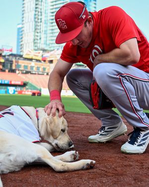 Image post by @Nationals on Twitter