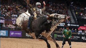 Video post by @pbr on YouTube