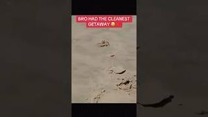 Video post by @culturemediaofficial on YouTube