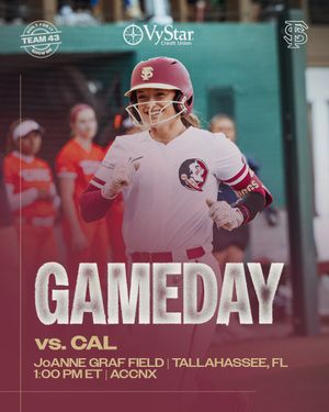 Image post by @fsusoftball on Instagram