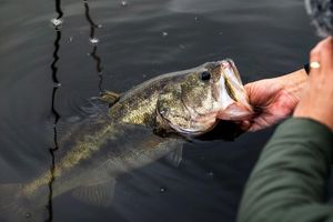 Image post by @thereelmacoy on Instagram