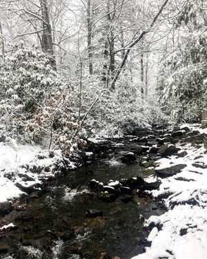 Image post by @montreat on Instagram