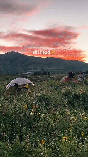 Video post by @filmbychloeg on TikTok