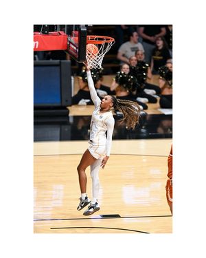 Image post by @carlymacklerphoto on Instagram