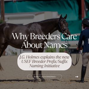 Image post by @theplaidhorsemag on Instagram