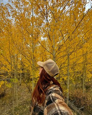 Image post by @theamandabittner on Instagram